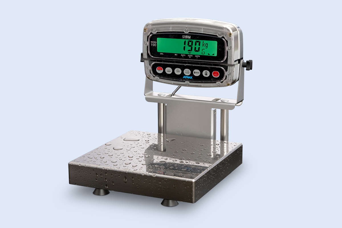 Washdown Bench Scales